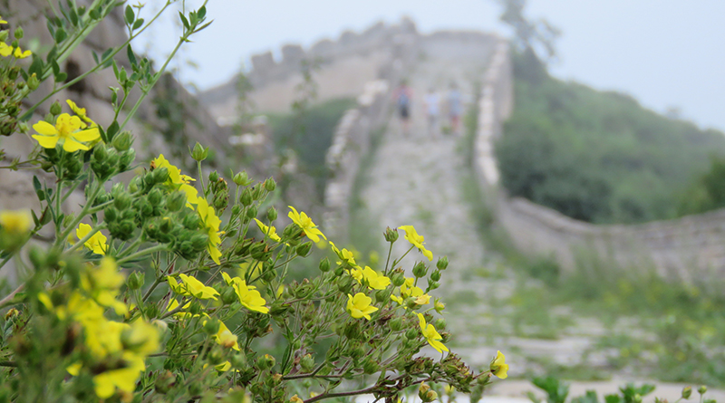 terras chinesas