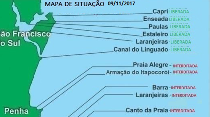 consumo de moluscos